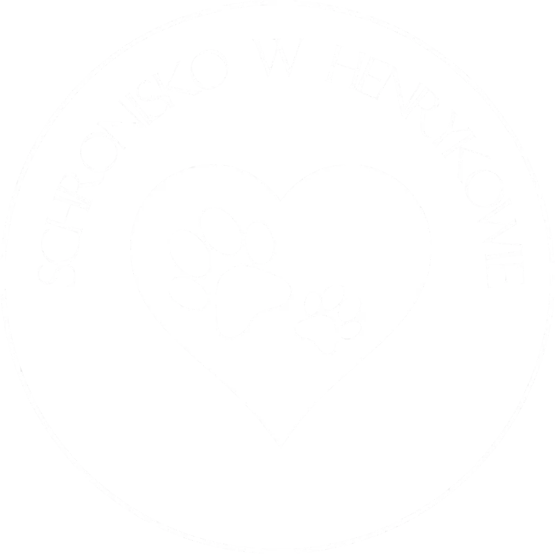 Schronisko Henrykowo
